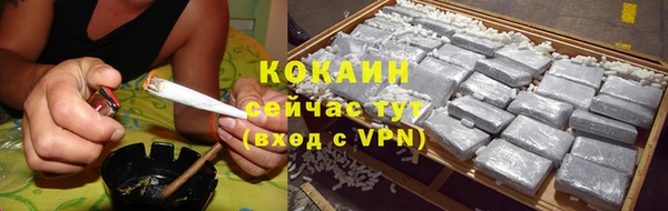 спиды Магас