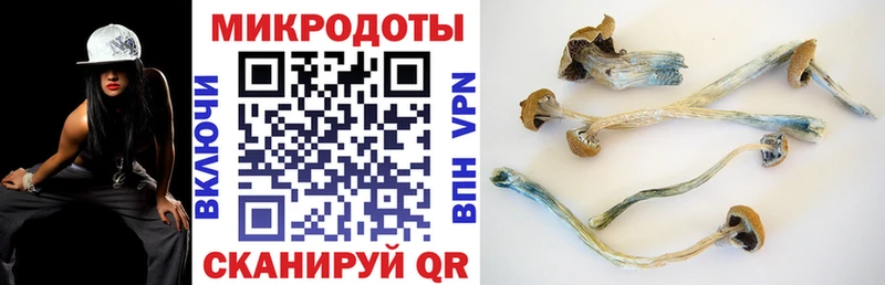 Галлюциногенные грибы MAGIC MUSHROOMS  Липки 